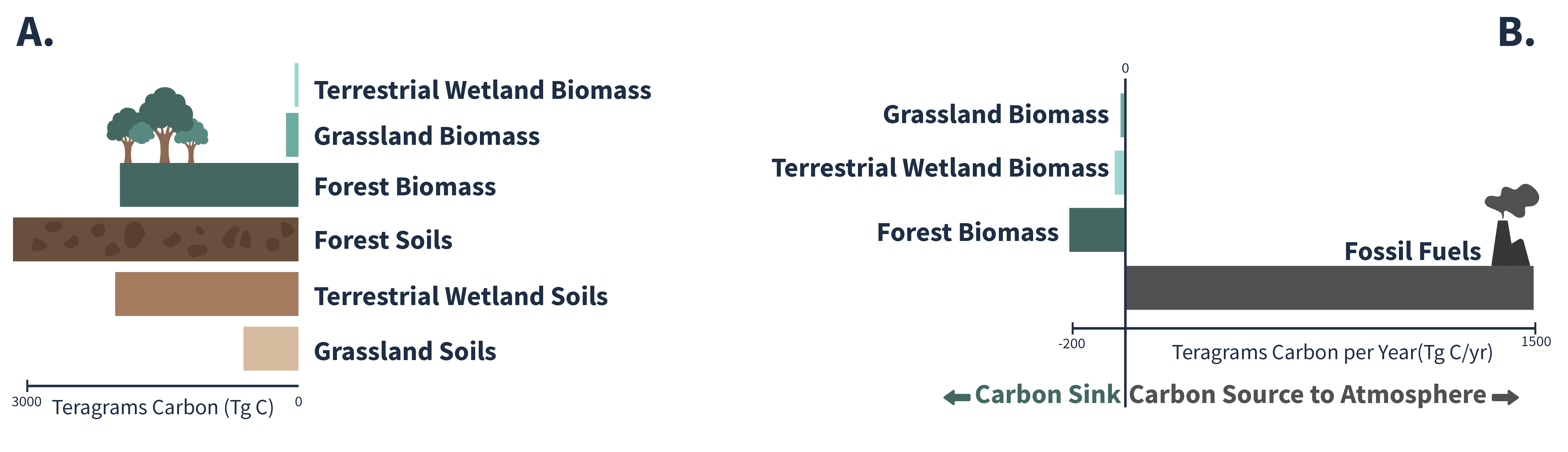 Two figures showing carbon storage (A, left side) and carbon flux (B, right side). Carbon storage (A) shows terrestrial wetland biomass, grassland biomass, forest biomass, forest soils, terrestrial wetland soils, and grassland soils in teragrams of carbon. Carbon flux (B) shows grassland biomass, terrestrial wetland biomass, and forest biomass as carbon sinks and fossil fuels as a carbon source to the atmosphere in teragrams of carbon per year.
