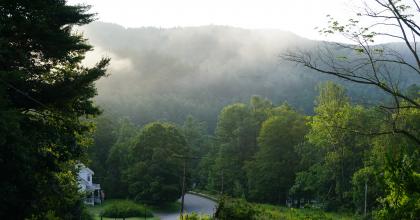 a river running through a forested landscape