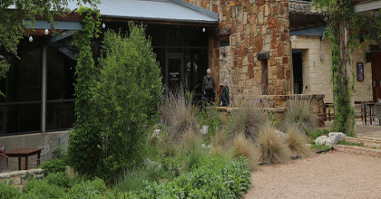 Ladybird Johnson Wilflower Center