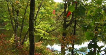 Chippewa National Forest North country trail