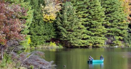 Hills Creek State Park (PA DCNR)