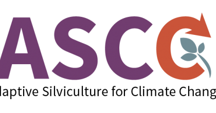 ASCC Network Logo 