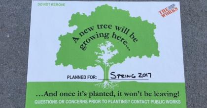 Sign that tells the public a new tree will soon be planted