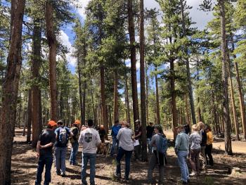 Managers and scientists touring Taylor Park ASCC site; Photo Credit: Kirsten Martin, Colorado State University  