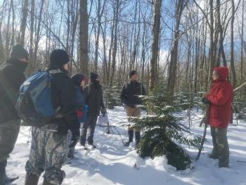 Field staff surround a small red spruce tree