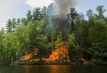A prescribed fire along Burntside Lake. 