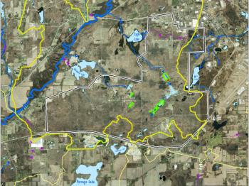 Map of Fort Custer outlined in white, fen locations in green