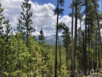 Mountain view from Taylor Park ASCC site. Photo Credit: Kirsten Martin, Colorado State University 