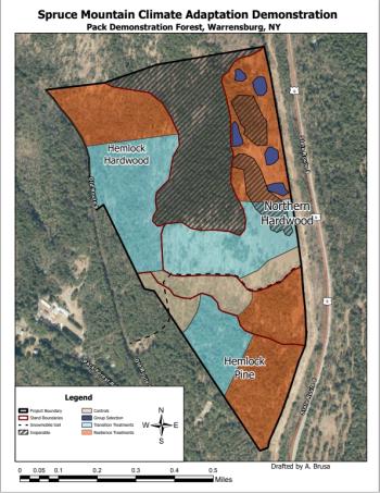 Map of project area with treatment blocks outlined in different colors