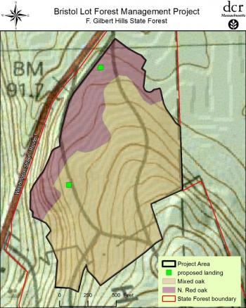Bristol Lot Forest Management Project