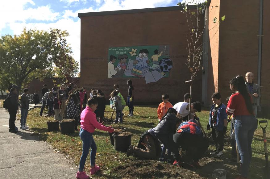 Mary Fogarty Planting Fall 2019