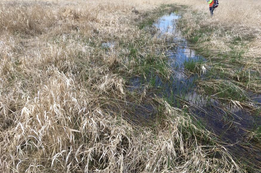 (photo: Josh Sulman)