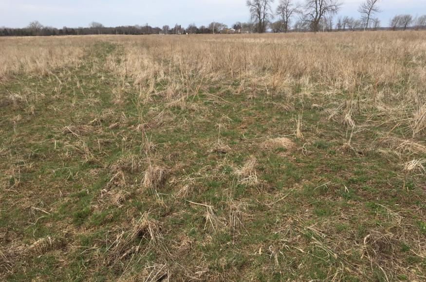 Ag field present on site (photo: Josh Sulman)