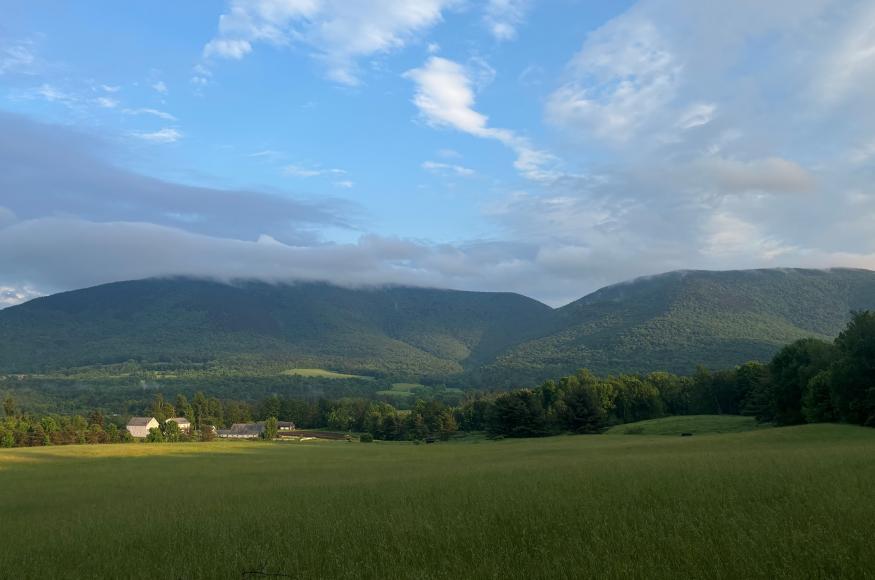 A wide pasture surrounded by forest with mountains in the background.