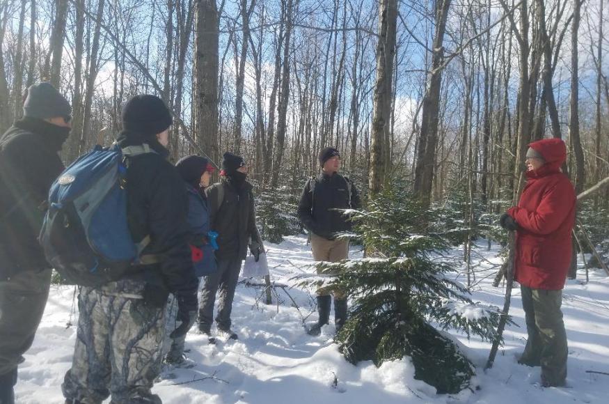 Field staff surround a red spruce. 