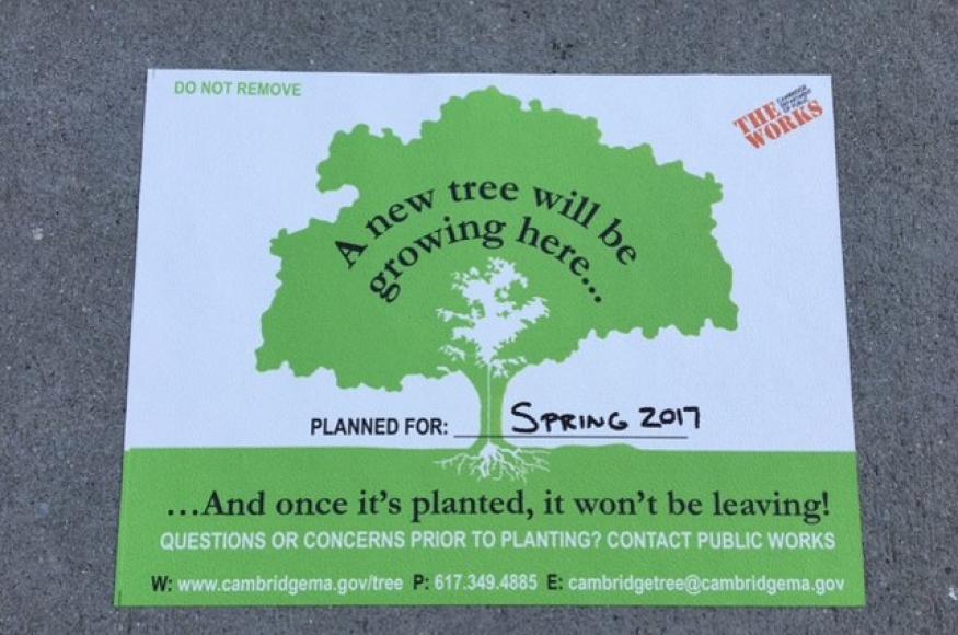 Sign that tells the public a new tree will soon be planted