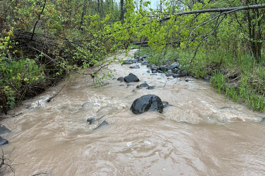 swollen, turbid creek
