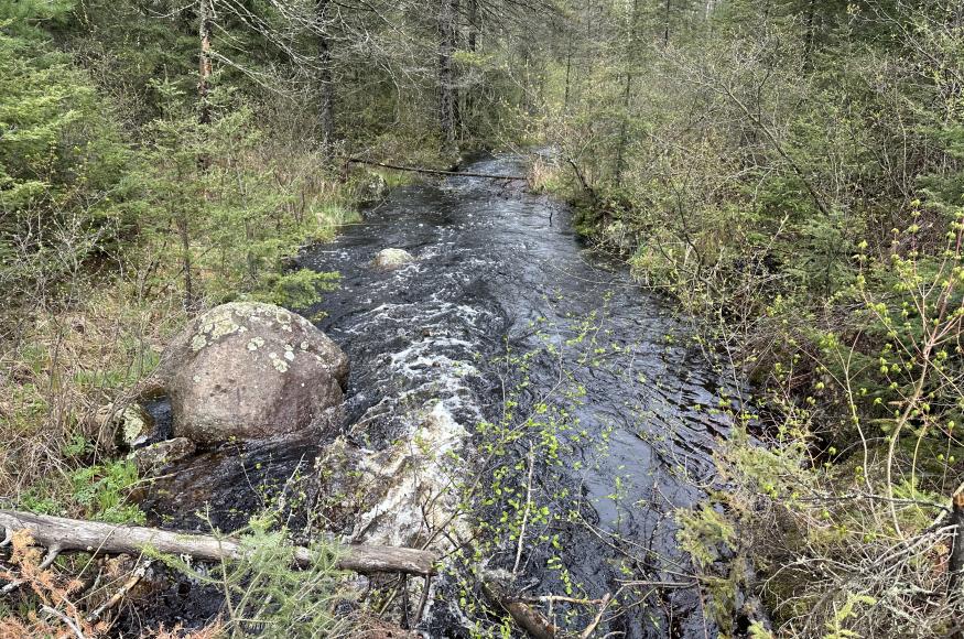 Dark creek with boreal forest around